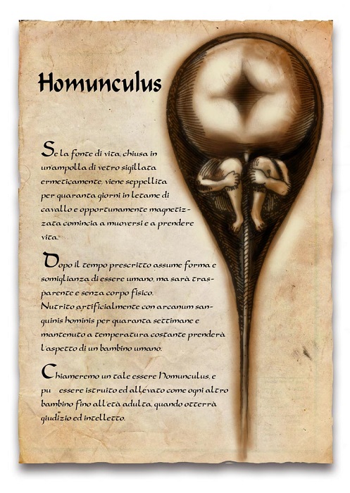 Homunculus